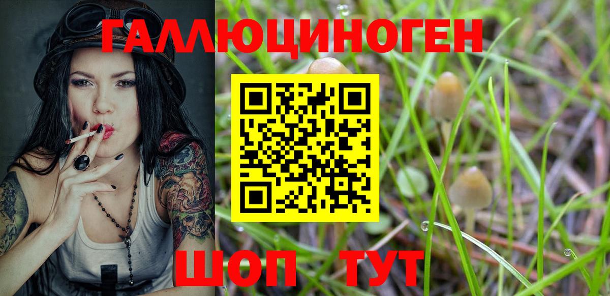 Муром  Псилоцибиновые грибы Psilocybe  Вход с VPN 
